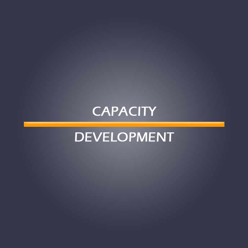 Capacity Development